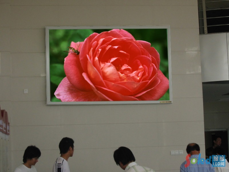 紅花